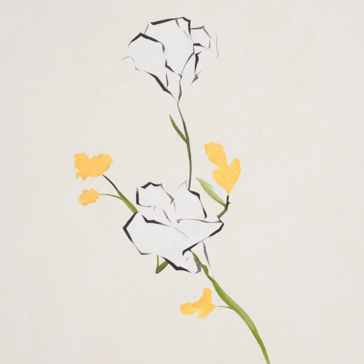Alex's Floral - Daffodil - Schumacher 5016400